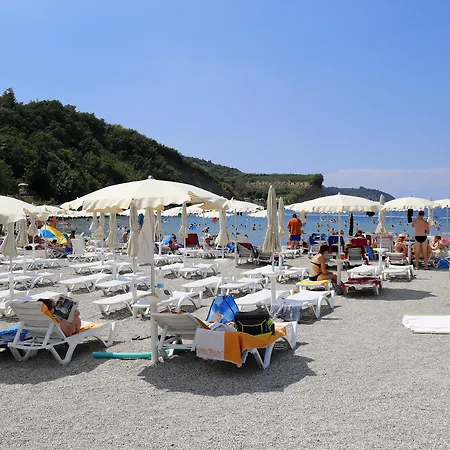 Dependences - San Simon Izola