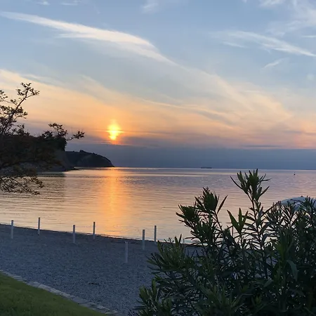 Dependences - San Simon 3*