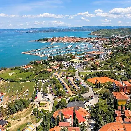 Dependences - San Simon Izola