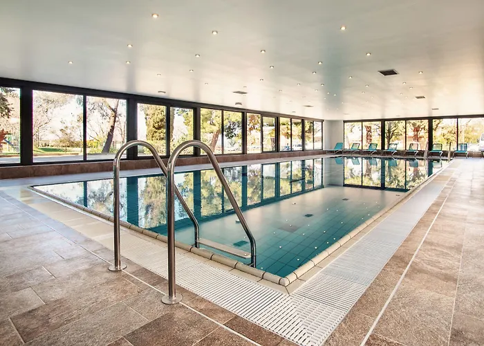 Dependences - San Simon Izola