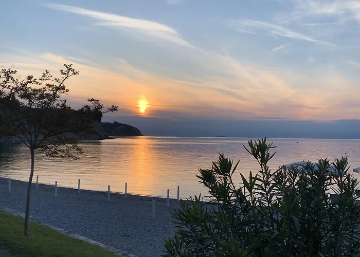 Dependences - San Simon 3*