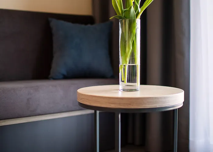 Dependences - San Simon Otel